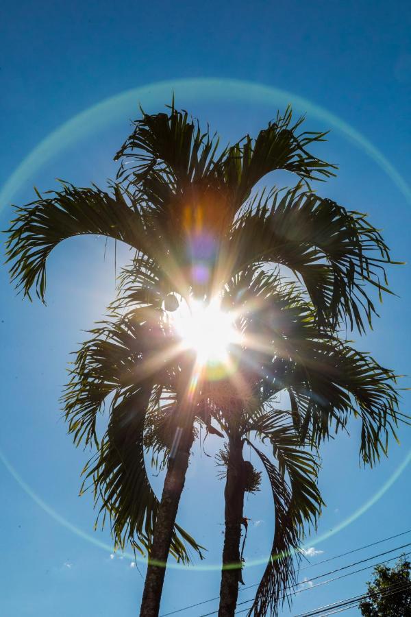 Hotel Palma Verde El Edén Εξωτερικό φωτογραφία